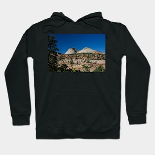 WGC_3977 Hoodie